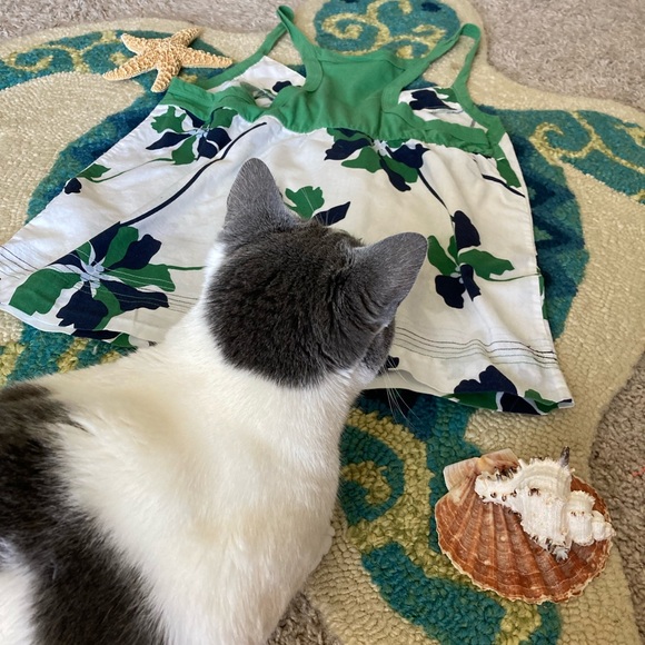 Meet your Posher, Brittani - Picture 4 of 4